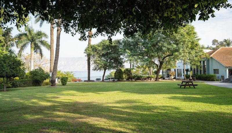 Giardino - Jacob Ohalo Kinneret