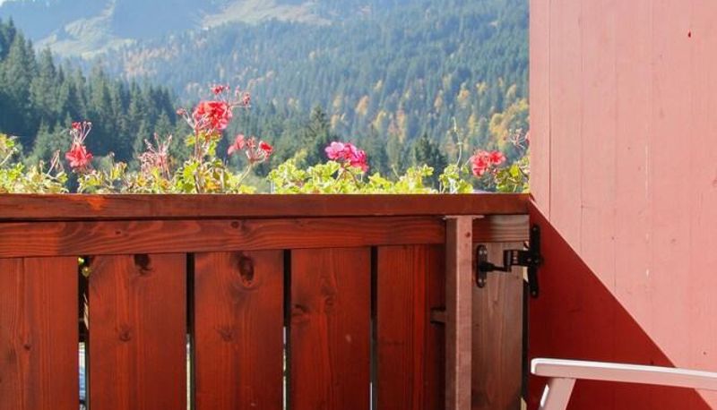 Umgebung - Alphotel Boden Balderschwang