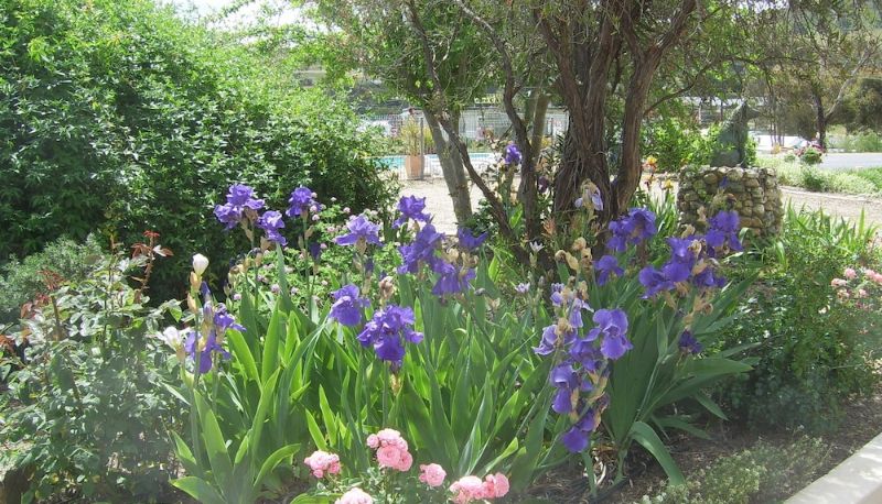 Garden - Garden Motor Inn