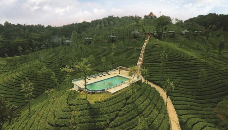 Piscina - Wild Planet Resort