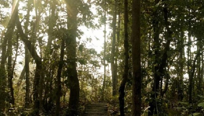 Dintorni - Asteya Kanha