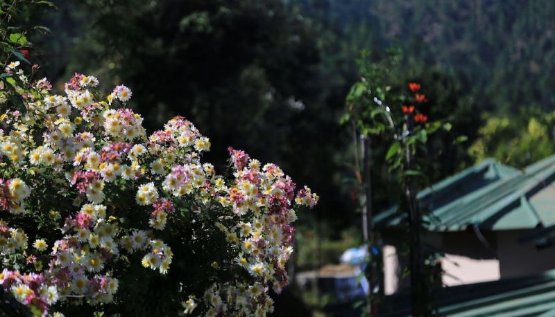 Giardino - Parwati Resort - A Luxury Himalaya View Resort In Patal Bhuvaneshwar