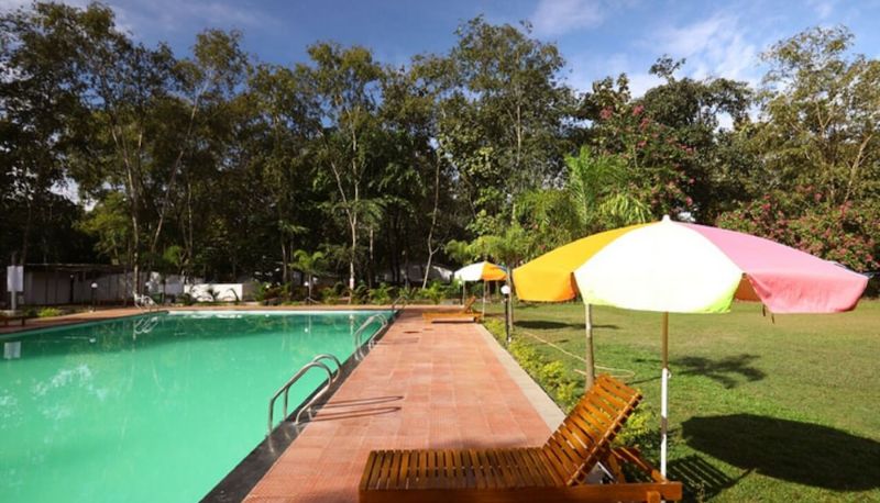 Pool - Vikramgad Nature Trails Sajan