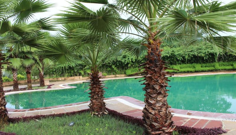 Basen - Samsara The Resort & Club