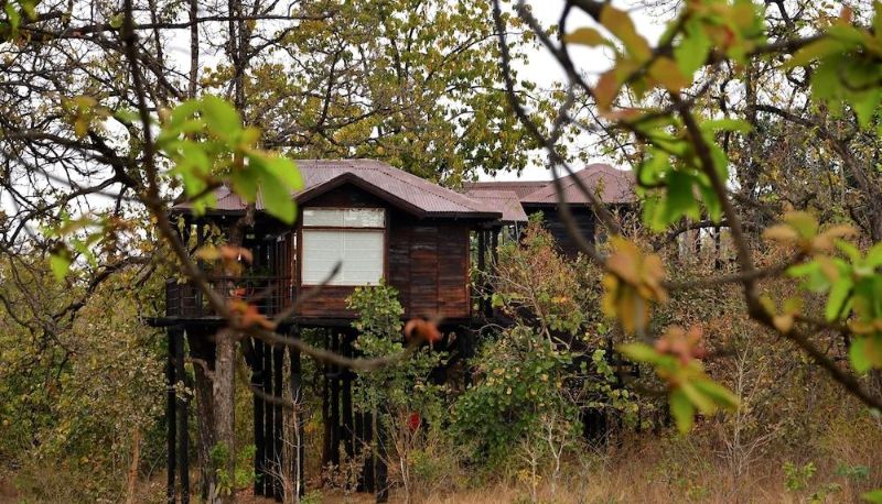 Apartment - Pugdundee Safaris - Pench Tree Lodge