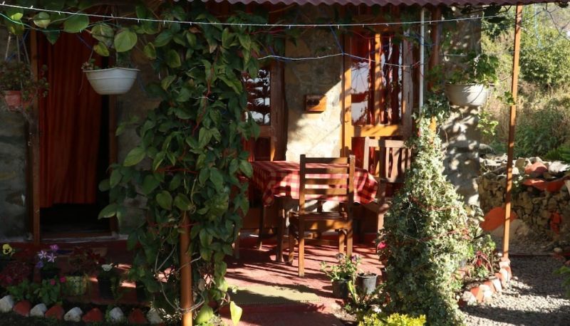 Informacje - The Mapple Cottage