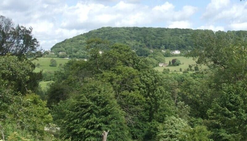 Info - Tibbiwell Lodge - B&B