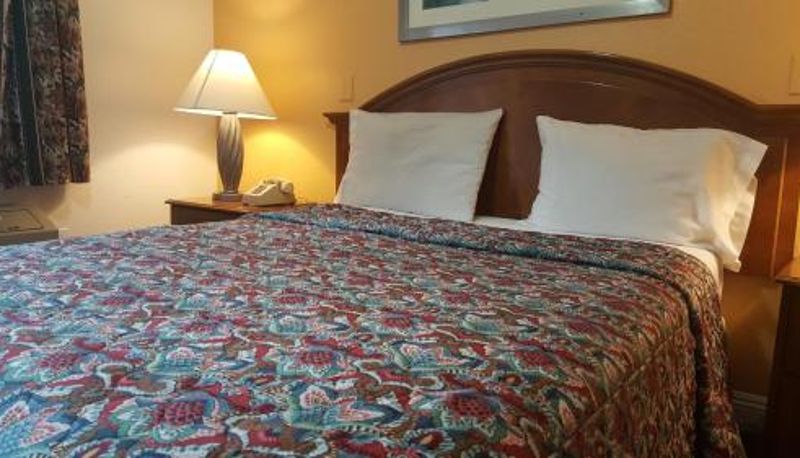 Standart oda - Flamingo Inn Long Beach