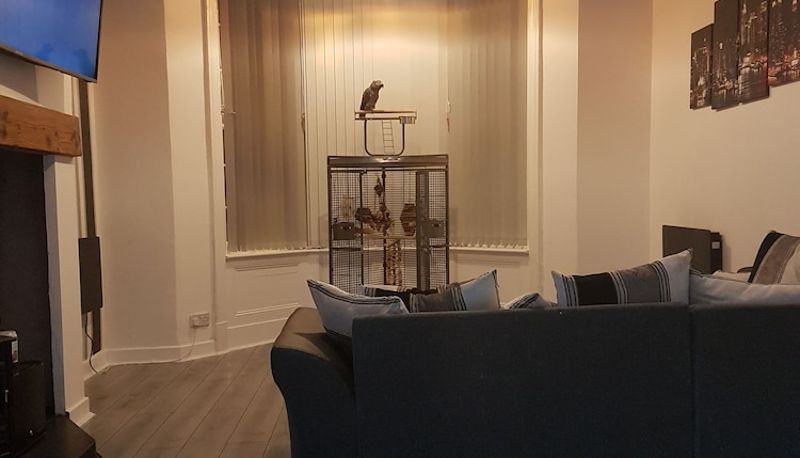 Información - Daville hotel