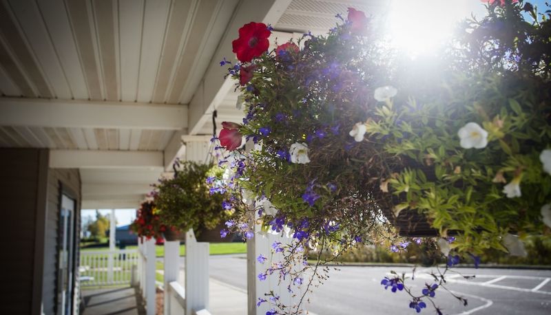 Terasse - Chisholm Inn & Suites