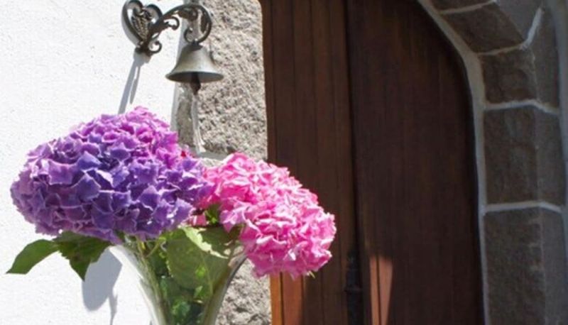 Bilgi - Bed & Breakfast Crosne Plazza & Spa