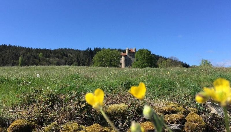 Area esterna dell'hotel - Château de Maisonseule