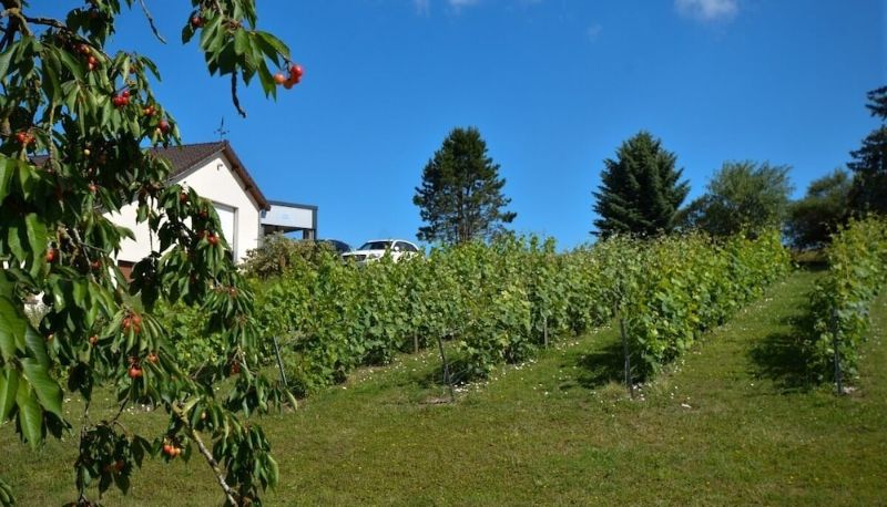Chambre supérieure (double) - Le Clos du Moulin