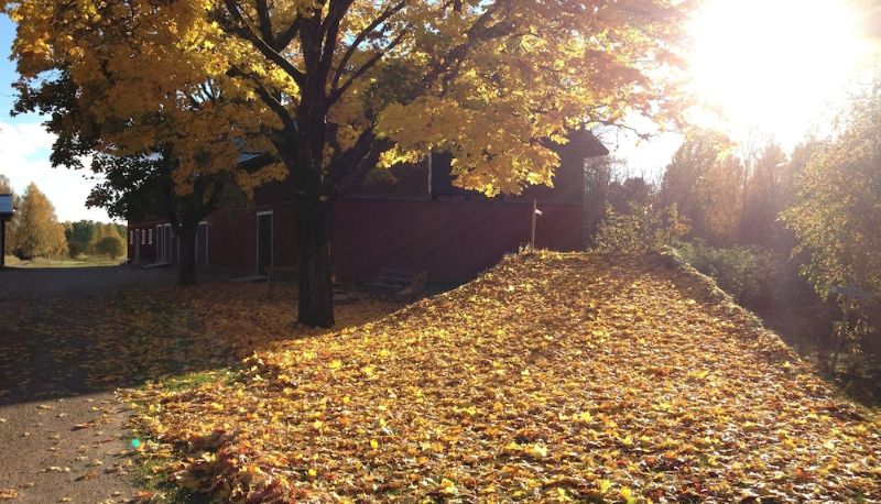 Jardín - Vägsjöfors Herrgård