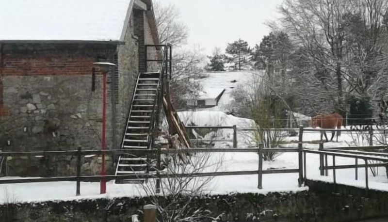 Buitenruimte van het hotel - L'écrin du Val de Sambre