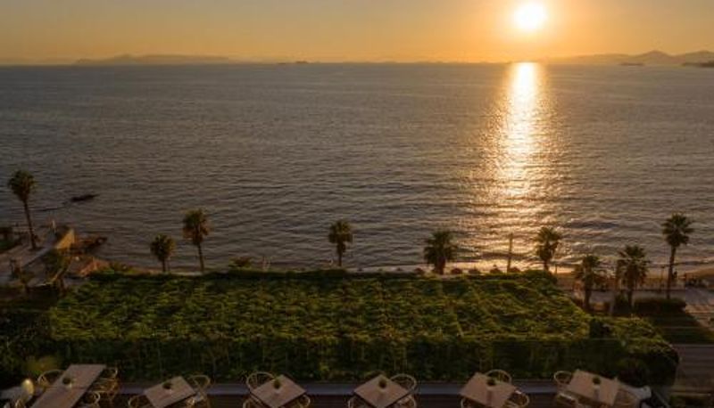 Info - Coral Hotel Athens Hotel Athens