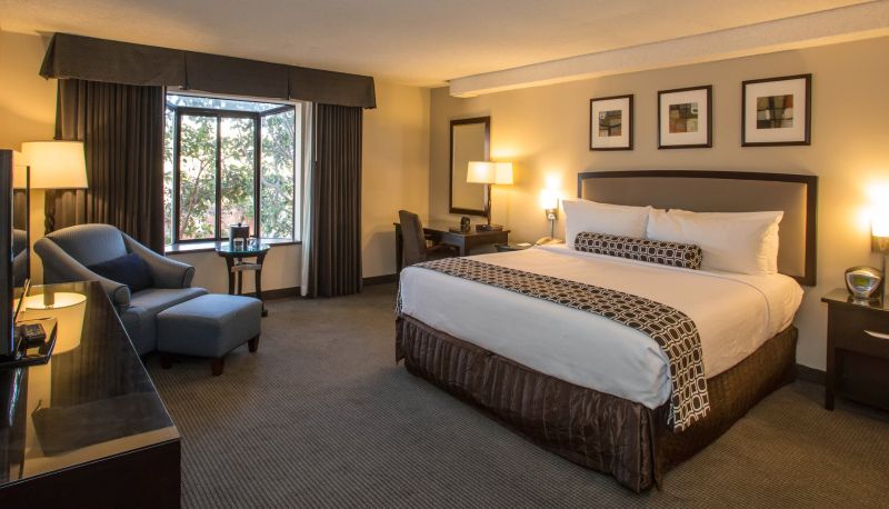 Chambre - Courtyard by Marriott Concord Walnut Creek