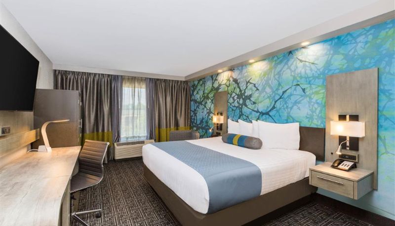 Zimmer - Wingate by Wyndham Goodlettsville