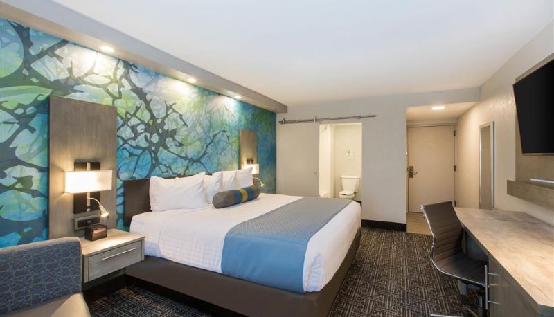 Zimmer - Wingate by Wyndham Goodlettsville
