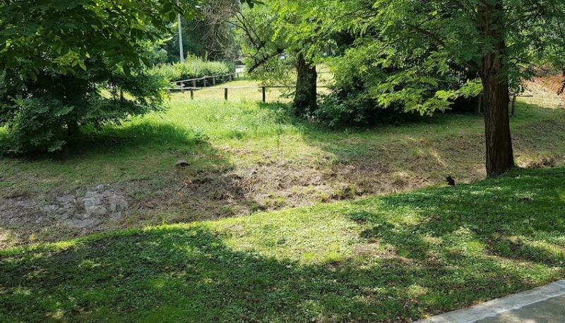 Ogród - Muskátli Apartman