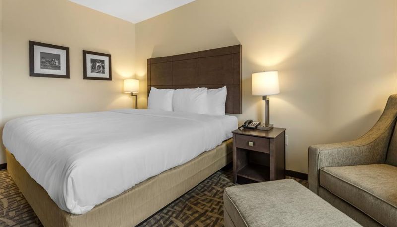 Room - Comfort Inn & Suites Pittsburgh-Northshore