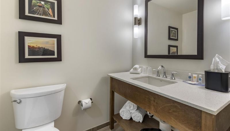 Room - Comfort Inn & Suites Pittsburgh-Northshore