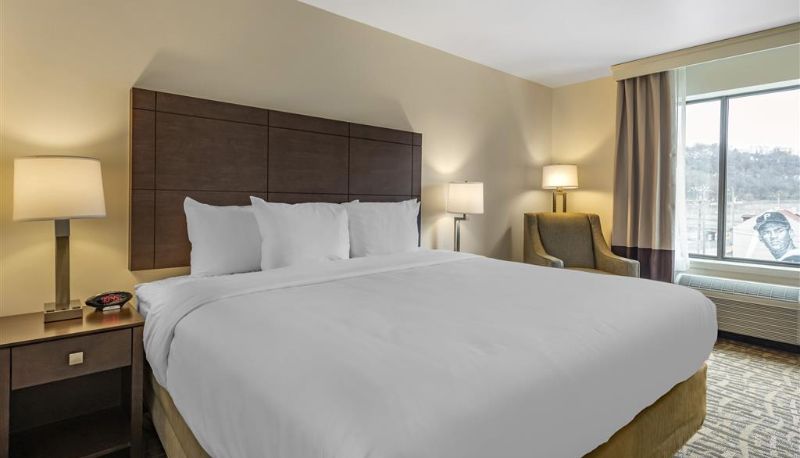 Room - Comfort Inn & Suites Pittsburgh-Northshore