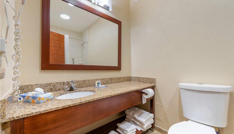 Kamer - Comfort Inn & Suites Michigan City South