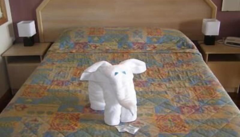 Bilgi - Koala Tree Motel