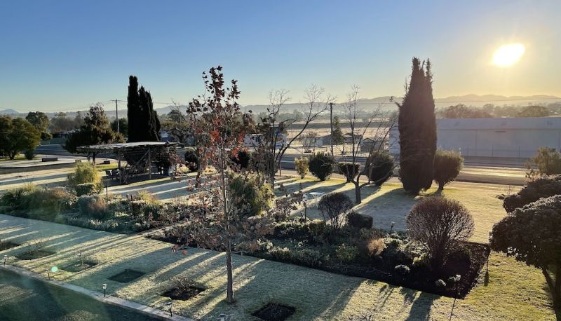 Giardino - Quirindi Sunflower Motor Inn