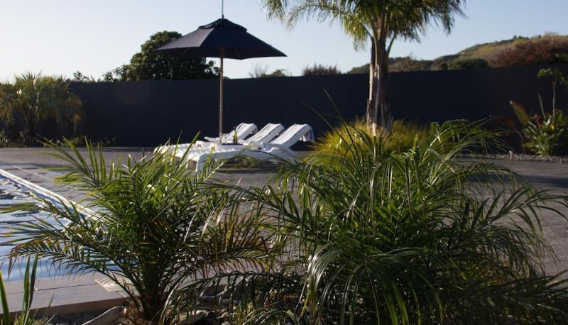 Pool - Gisborne Motel Oasis