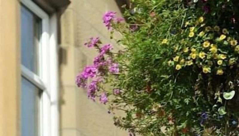 Buitenruimte van het hotel - No.2 Troon Road B&B
