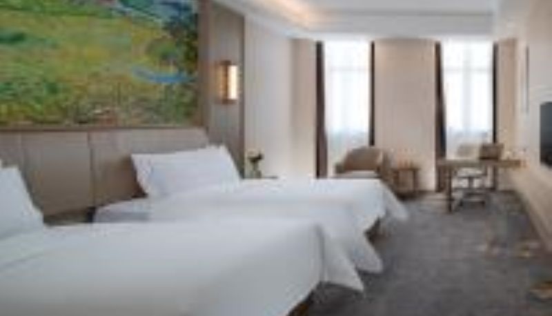 Habitación - vienna hotel (Shenzhen Pingshan Longtian Town)