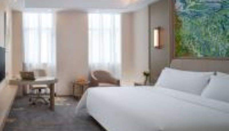 Habitación - vienna hotel (Shenzhen Pingshan Longtian Town)