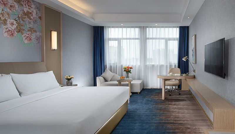 Room - vienna hotel(GuangDong Foshan Sanshui Senlin Gongyuan Dian)