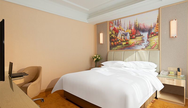 Camera - Tibet)  Linzhi pedestrian street vienna hotel (Binhe Road