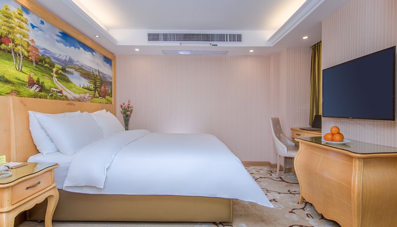Camera - Vienna classic Hotel(Wuhan Optics Valley University Yuanlu Institute Of Technology Hotel)