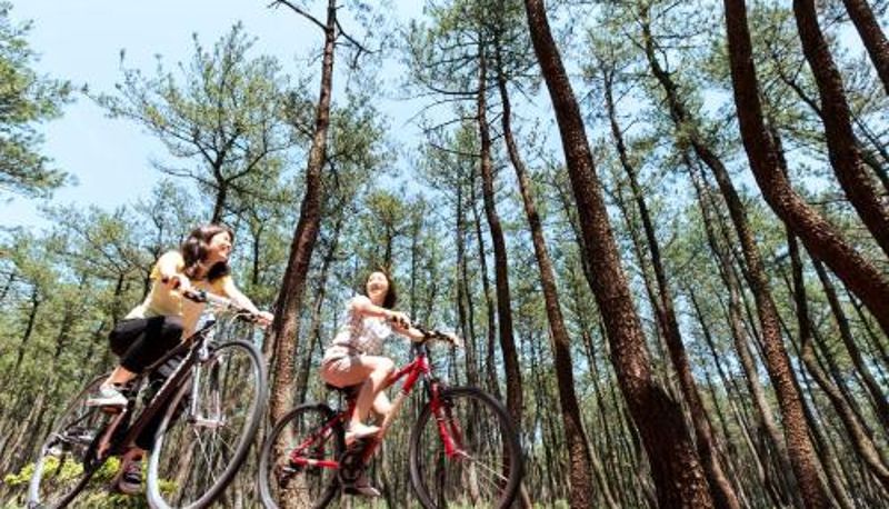 Info - Seagaia Forest Cottages