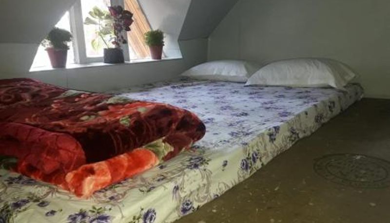 Room - Hornbill Homestay