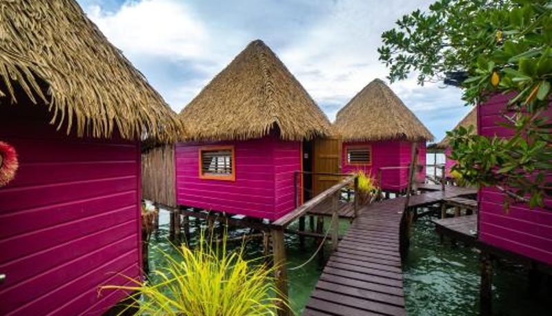Camera - Urraca Monkey Island Eco Resort