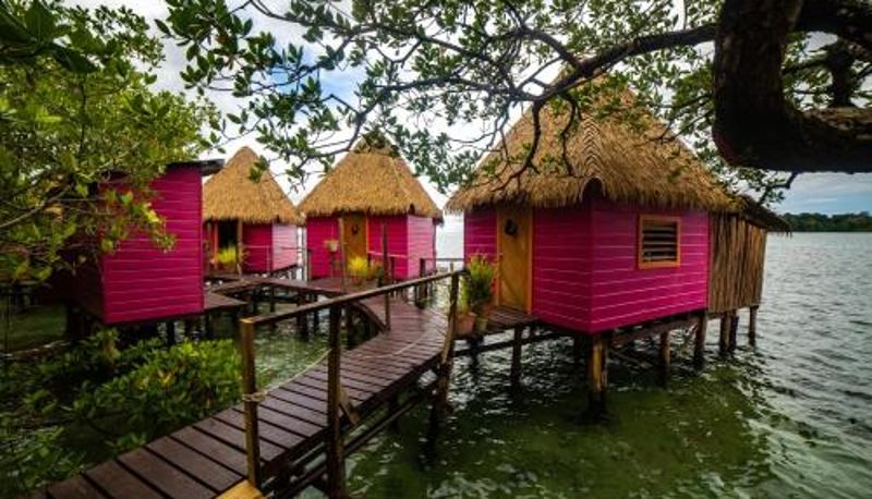 Camera - Urraca Monkey Island Eco Resort