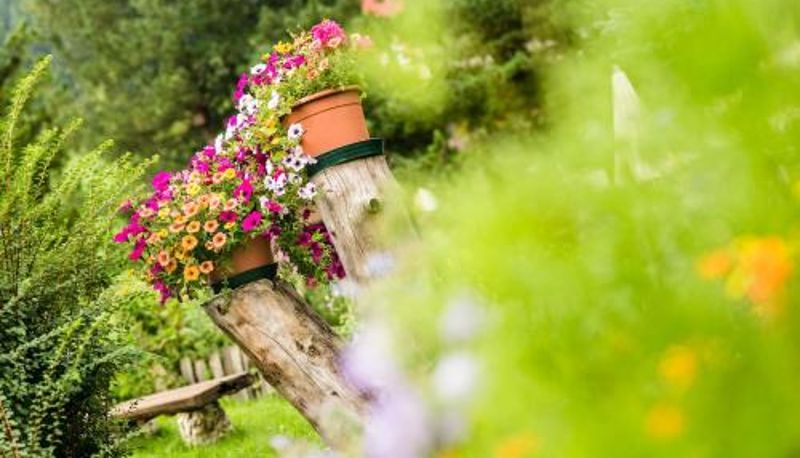 Info - Hotel Dorfer Alpine&Charming