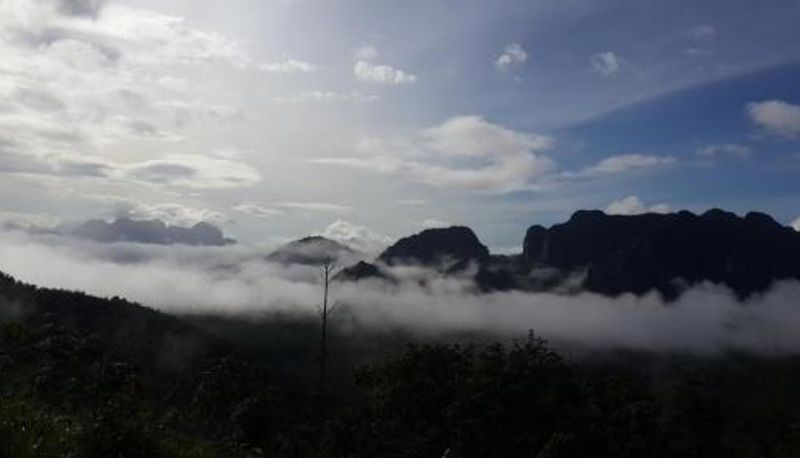 Bilgi - Khao Sok Country Resort