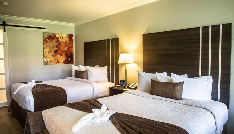 Habitación - Palm Garden Hotel