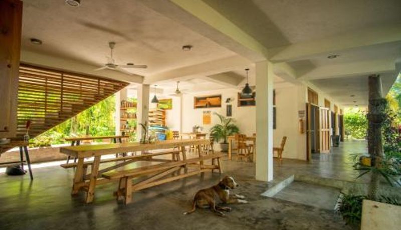 Recepcja - Casa Chapolin Boutique Guesthouse