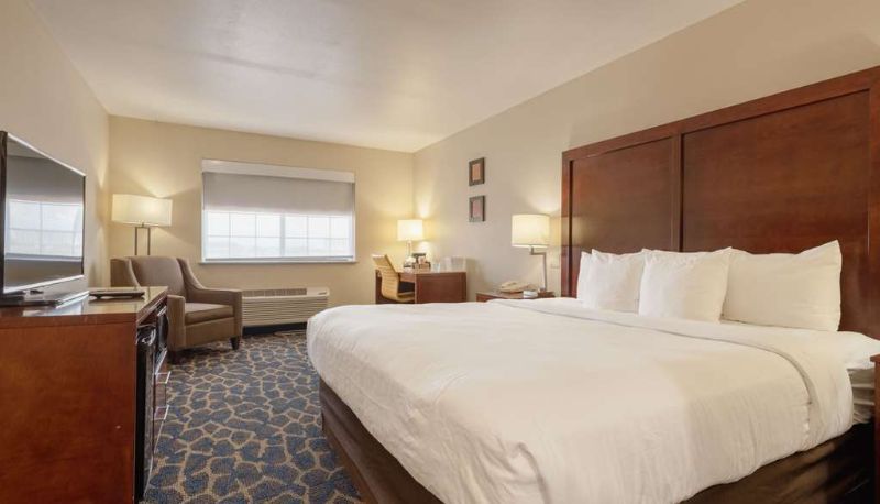 Zimmer - COMFORT INN ALAMOSA