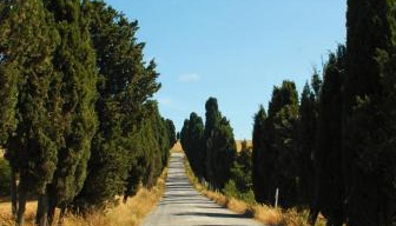 Información - Relais Villa Sensano