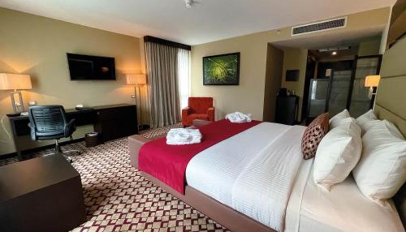 Room - Waldorf Hotel