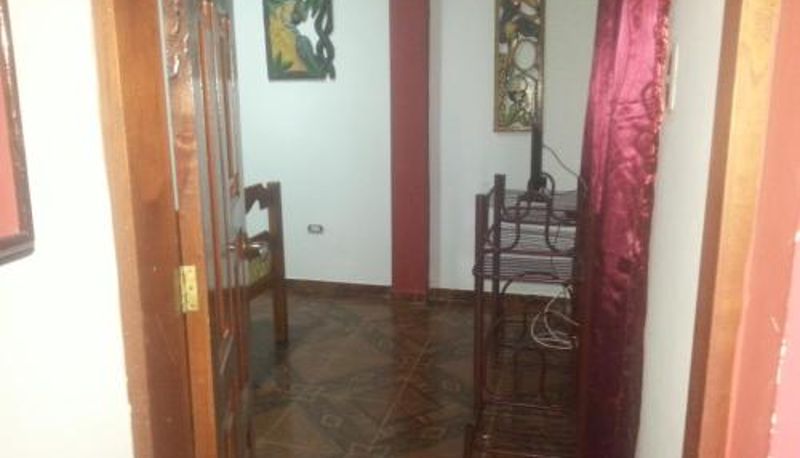 Room - Hostal Selvatrip