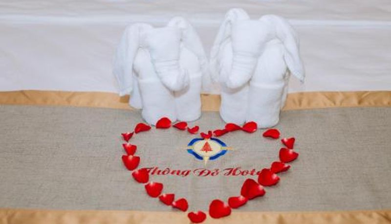 Info - Thông Đỏ Hotel